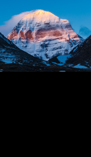 banner-image 
